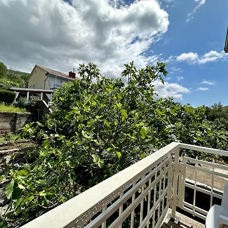 Adriatic Dream דראמליי